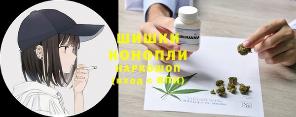 шишки Наволоки