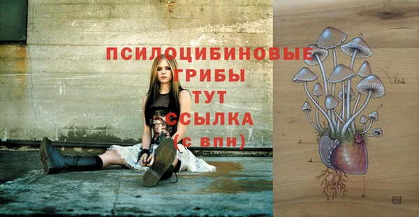 хмурый Бабаево