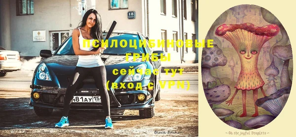 хмурый Бабаево