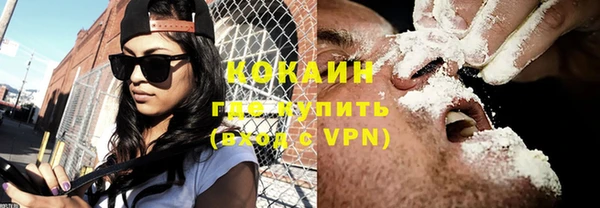 шишки Наволоки