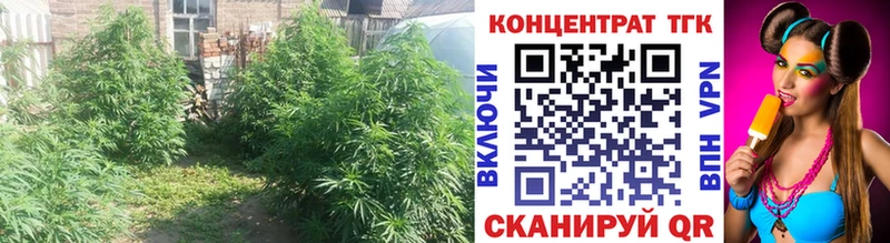 как найти наркотики  Чкаловск  Дистиллят ТГК концентрат 