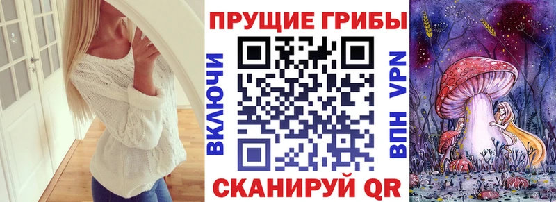 где купить наркотик Чкаловск Галлюциногенные грибы MAGIC MUSHROOMS